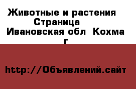  Животные и растения - Страница 10 . Ивановская обл.,Кохма г.